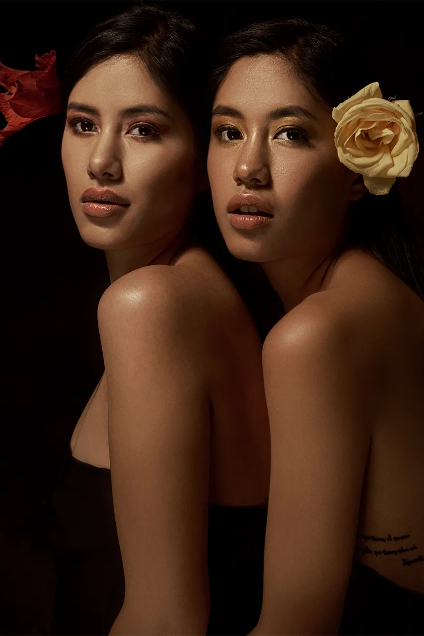 Twin Models